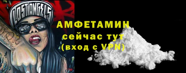 молекула духа Алзамай