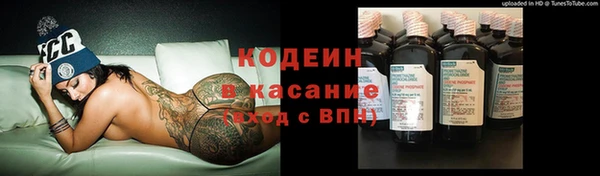 молекула духа Алзамай