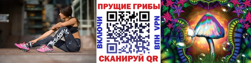 купить наркоту  Апатиты  Галлюциногенные грибы ЛСД 